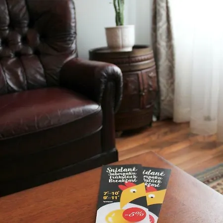 Apartament Vintage Karlowe Wary
